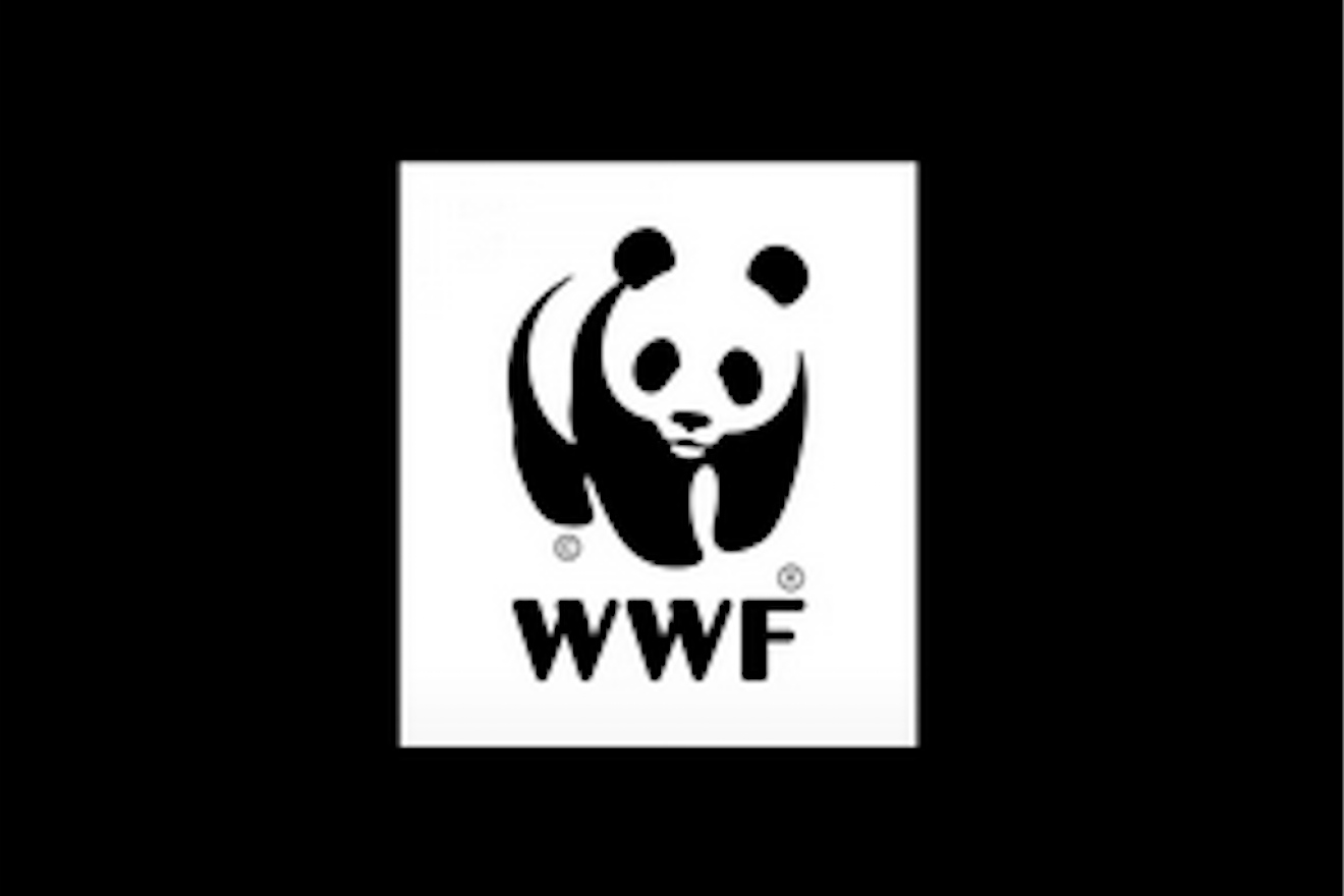 COP28 special: WWF urges shift to clean fuel now